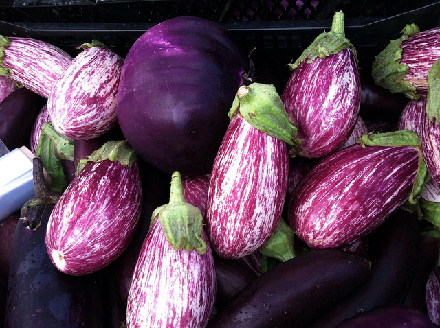 The Incredible, Edible Eggplant - Seacoast Eat Local