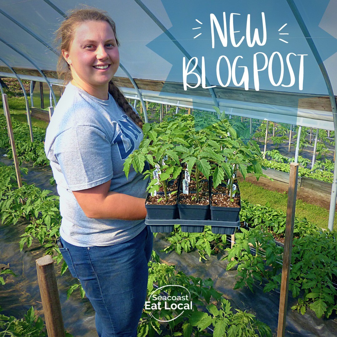 The Hollister Family Farm is featured in this month's Our Food Has a Story segment of our blog.
🌱
Check it out at seacoasteatlocal.org/blog or via the link in our bio. Sneak peak: there are pictures of the amazing Stephanie Hollister growing flowers when she was middle school...... 👩‍🌾 Gives a new definition to #youngfarmers 
🌱
HUGE thanks to Stephanie, Melissa, and Jeff for all of their time. 

PS --We’d love it if you would share this post with a friend, family member, or co-worker who might not (yet!) shop local. Our farmers’ are working hard to keep local food, resources, and nutrition in our community. Part of our job is getting the word out so we keep these fields and farmers, and all of their knowledge and wisdom, going strong for generations to come. Thank you!!! 

#eatlocal
#localfood
#farmblog
#knowyourfarmer
#youngfarmer 
#familyfarm 
#seacoastnh
#newblog
